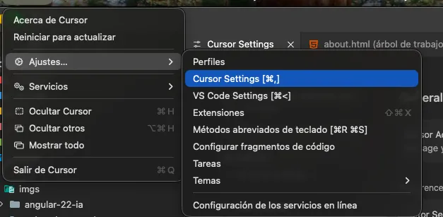 Cursor: Ajustes → Cursor Settings